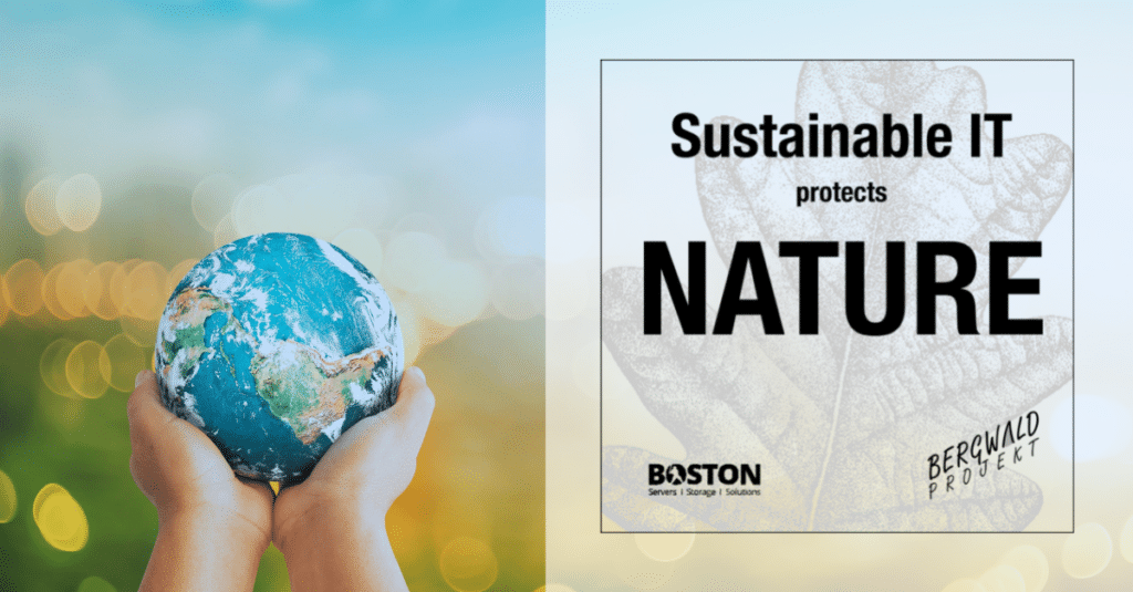 Boston schließt Partnerschaft mit Bergwaldprojekt