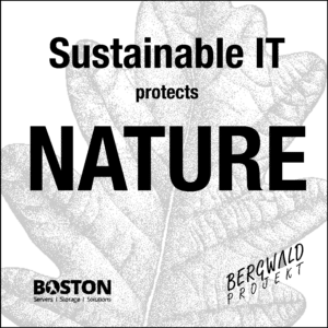Nachhaltigkeit Boston Sustainable IT protects nature